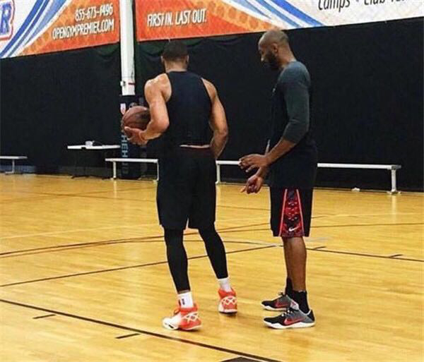 庭之间寻找 庭之间寻找